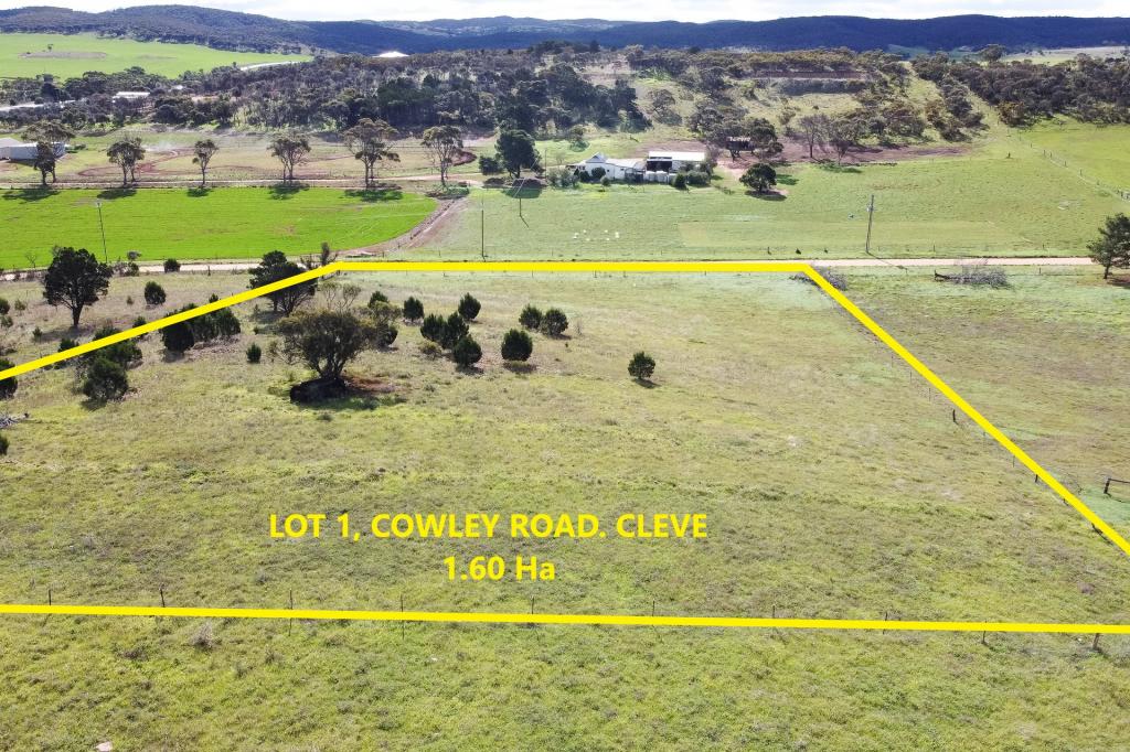  Cowley Rd, Cleve, SA 5640