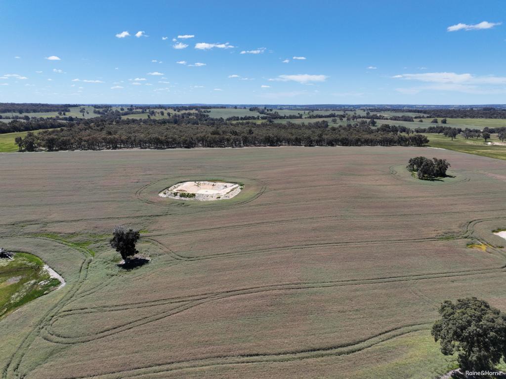 201 JEFFS RD, JINGALUP, WA 6395