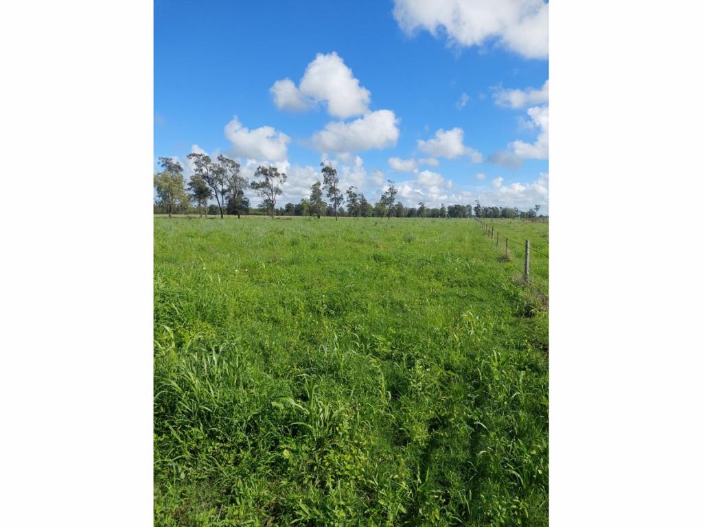  Woodford Rd, Alton Downs, QLD 4702