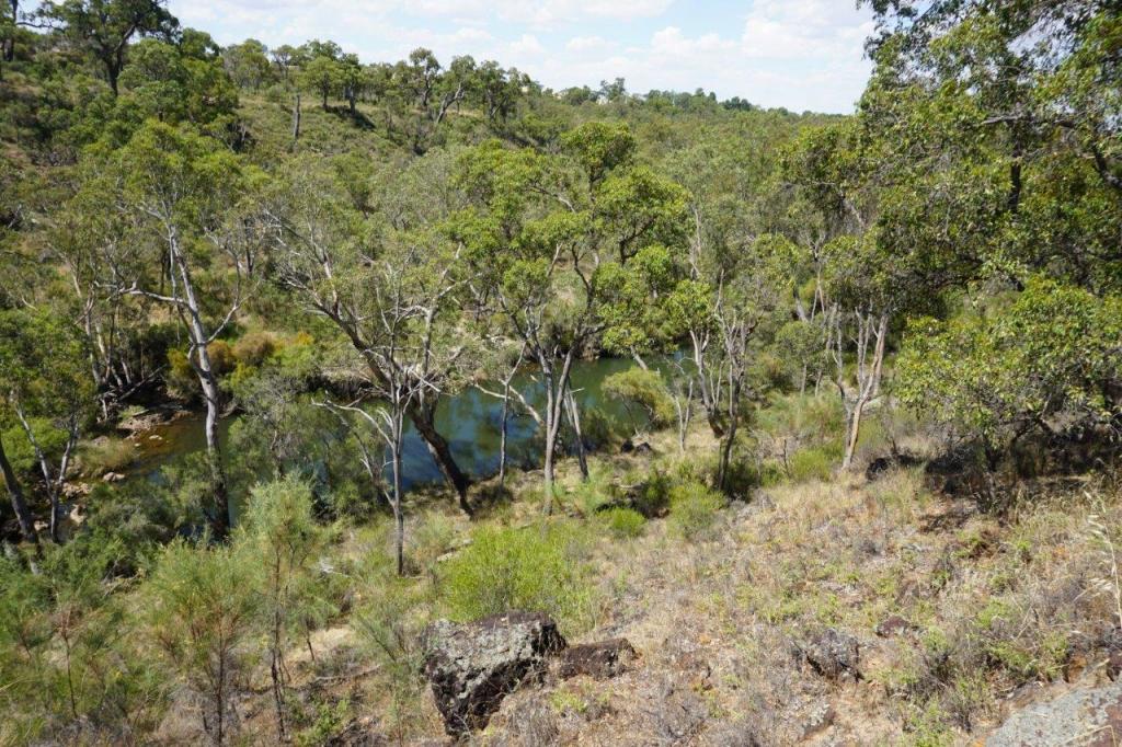 Lot 1 Mogumber Rd W, Red Gully, WA 6503