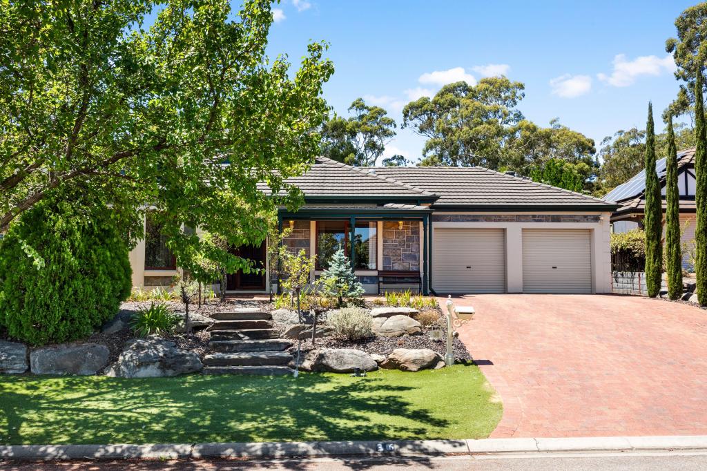 36 Angove Park Dr, Tea Tree Gully, SA 5091