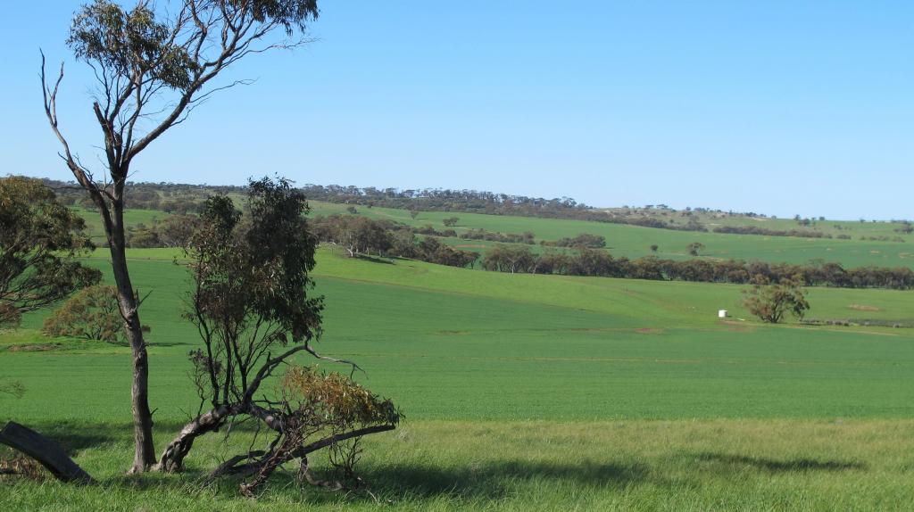 Wongamine Goomalling-Toodyay Rd, Goomalling, WA 6460