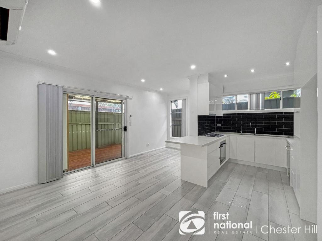 17a Dudley St, Auburn, NSW 2144