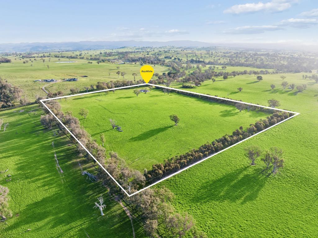 "Yellowbox", 606 Longrail Gully Rd, Murrumbateman, NSW 2582