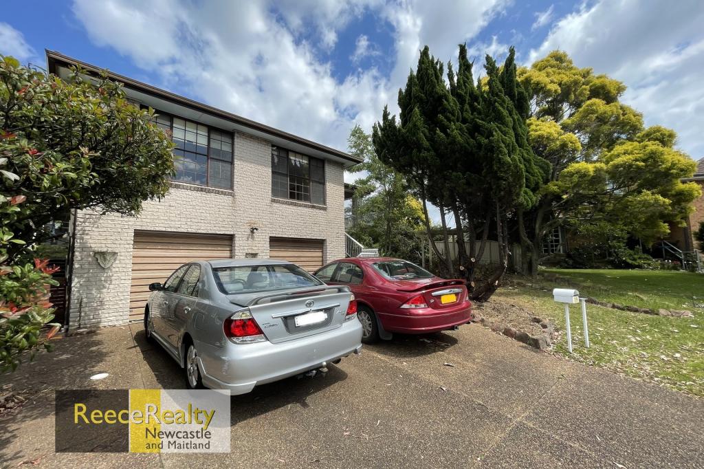 19a Viminaria Pl, Warabrook, NSW 2304