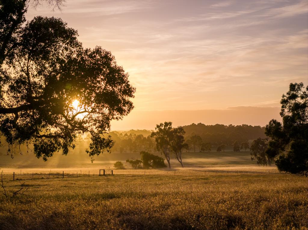 89 Worgan Rd, Metricup, WA 6280