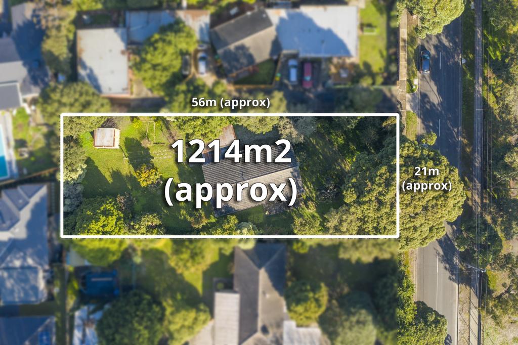 11 Kalmia St, Frankston, VIC 3199