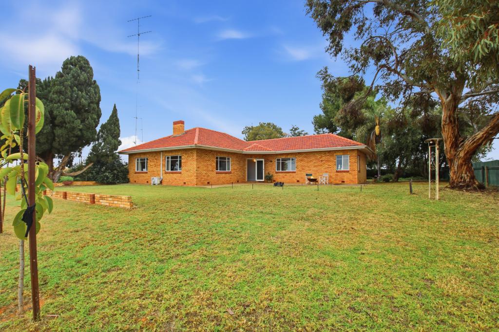 17404 Sturt Hwy, Barmera, SA 5345