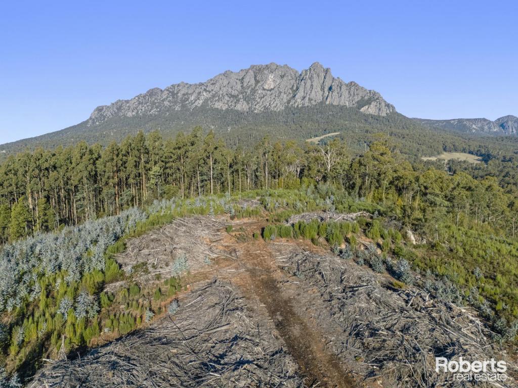 LOT 1 PATAWALONGA RD, CLAUDE ROAD, TAS 7306