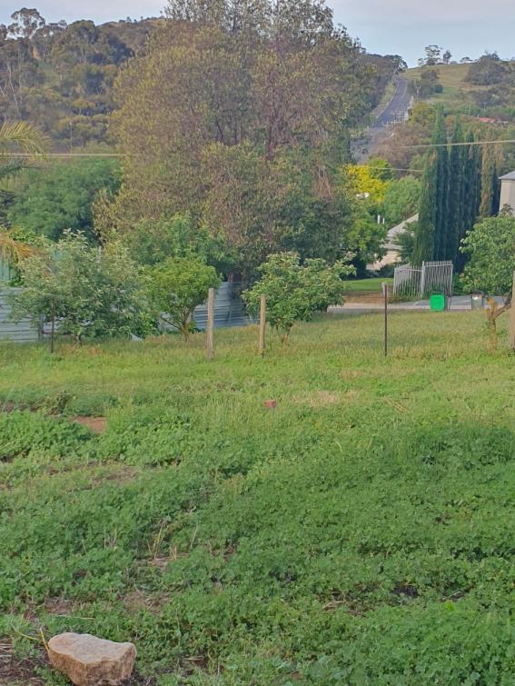 20 Sarah St, Penrice, SA 5353