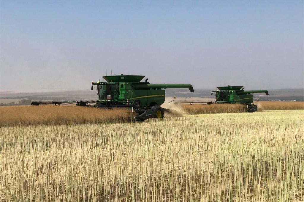  Valentine Rd, Wicherina, WA 6532