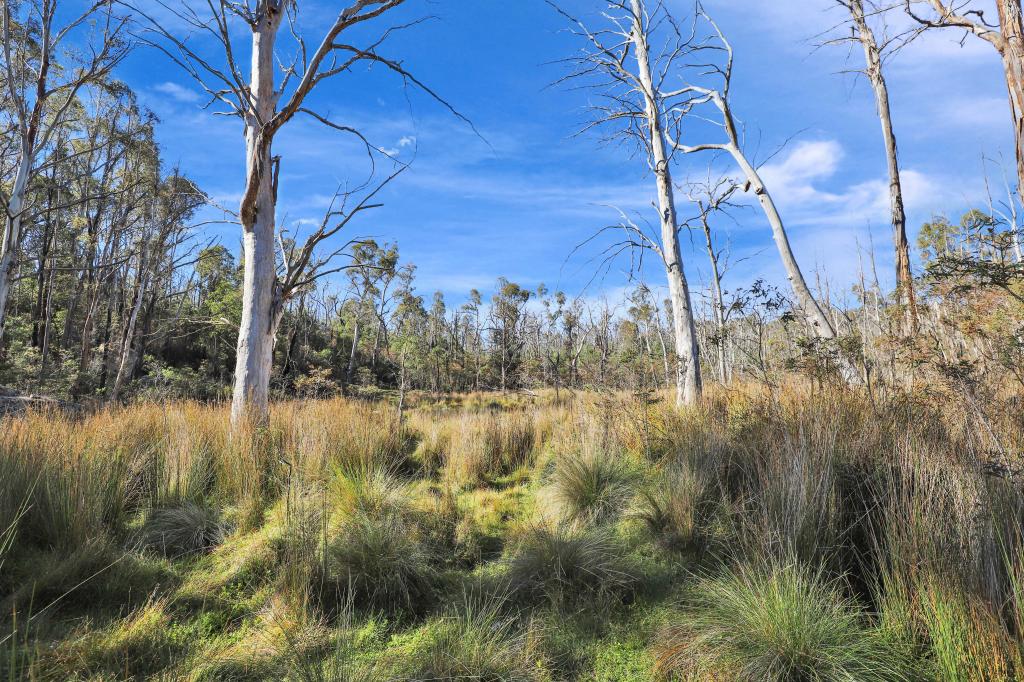 1060 CREEWAH RD, CREEWAH, NSW 2631
