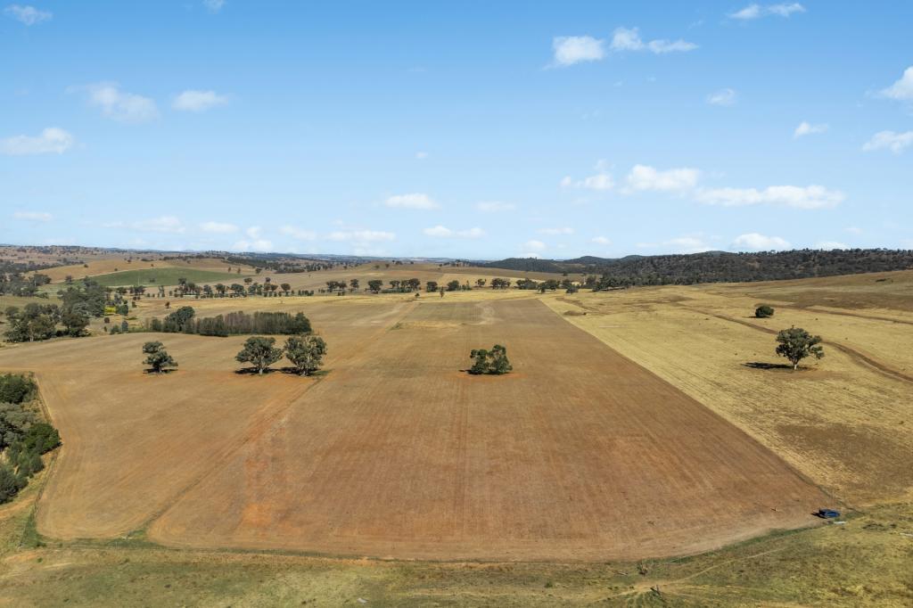 - COATES CREEK RD, MANILDRA, NSW 2865