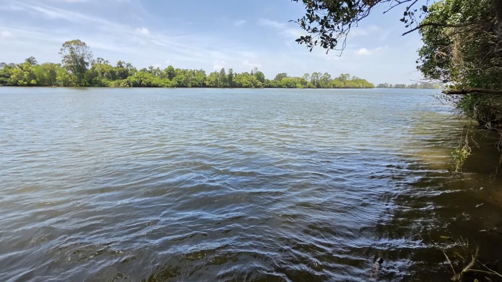 665 And 691 Kilgin Rd, Kilgin, NSW 2472