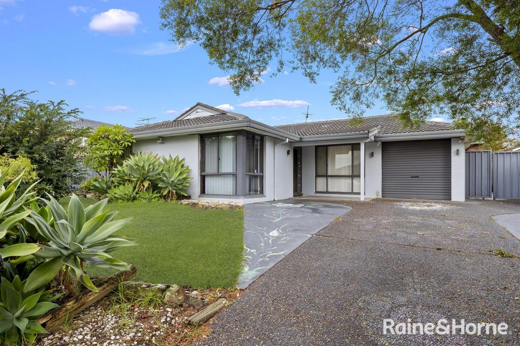20 MISTLETOE AVE, MACQUARIE FIELDS, NSW 2564