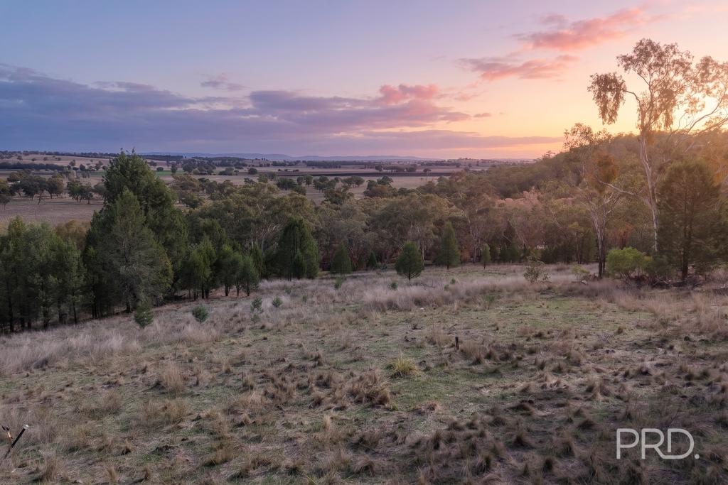 16 BOLAH RIDGE RD, QUIRINDI, NSW 2343