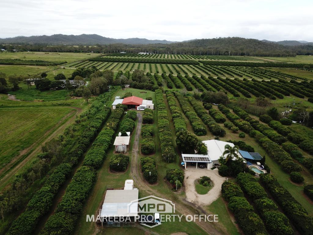 209 Malone Rd, Mareeba, QLD 4880