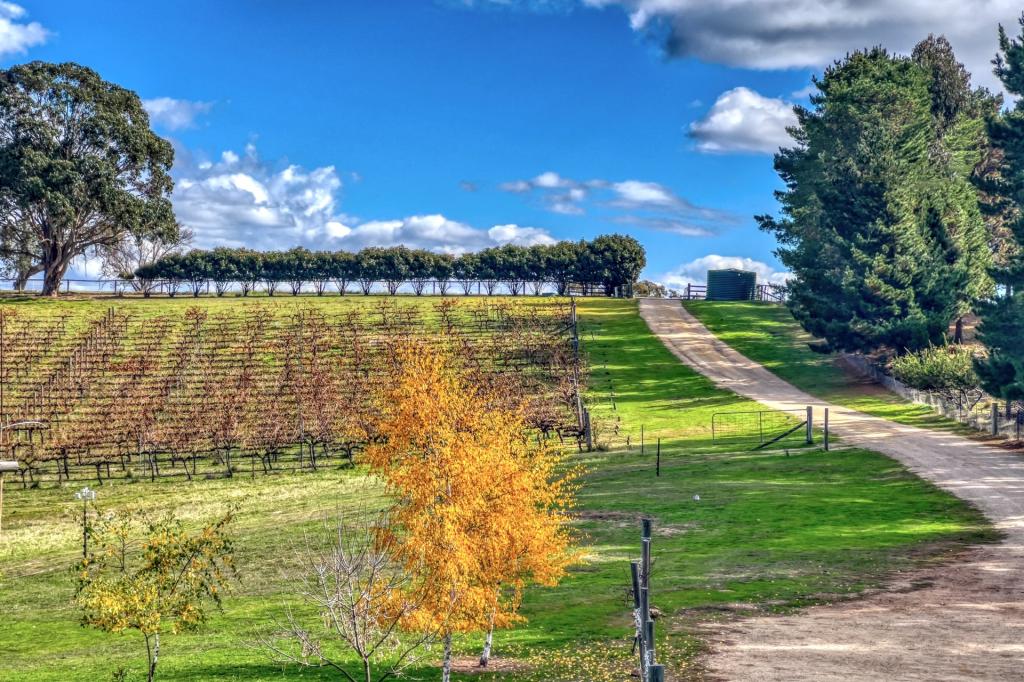 2222 Bylong Valley Way, Rylstone, NSW 2849