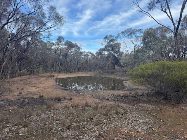 67a Eucy Rd, Korong Vale, VIC 3520