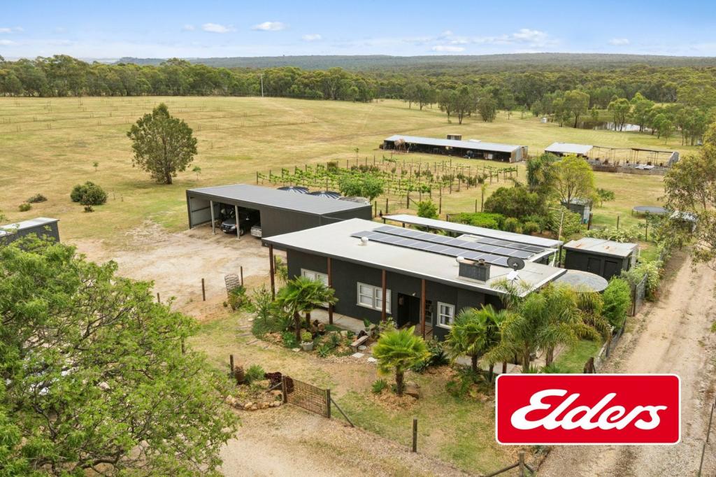 84 ADAMS RD, WANGANDARY, VIC 3678