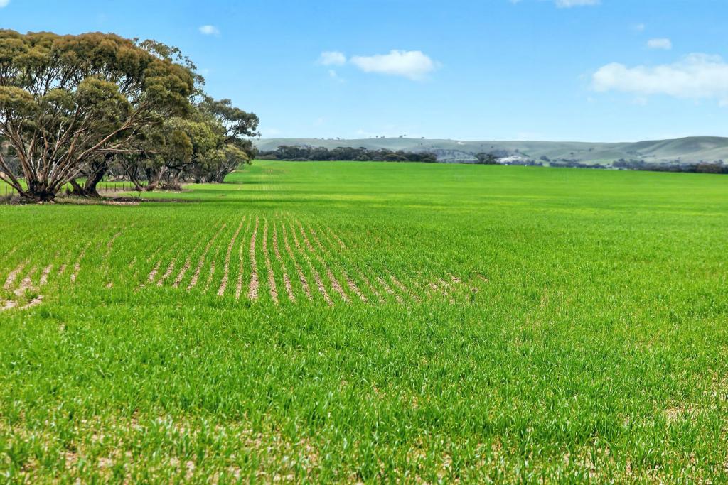'Milde'S' Keller Rd, Australia Plains, SA 5374