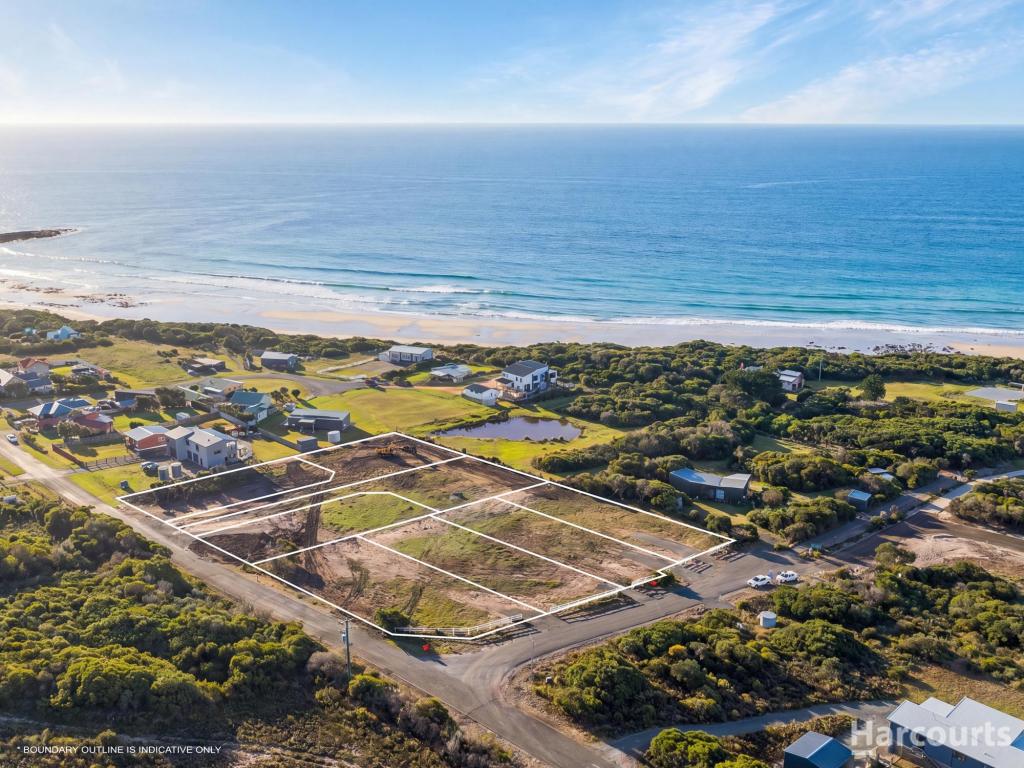 86 Bellbuoy Beach Rd, Low Head, TAS 7253