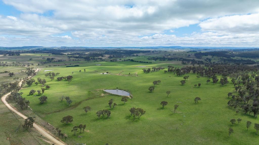 'Ardaminga'/313 Mihi Rd, Mihi, NSW 2358