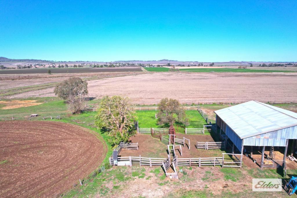 Forest Plain Rd, Allora, QLD 4362