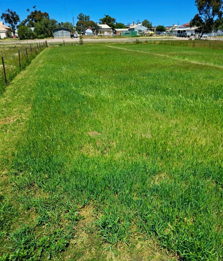 Lot 145 Bridges St, Peterborough, SA 5422