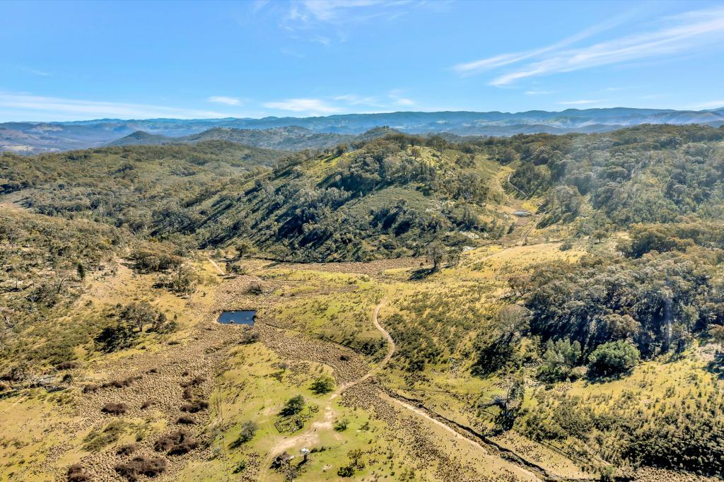 954 Pyramul Rd, Pyramul, NSW 2850
