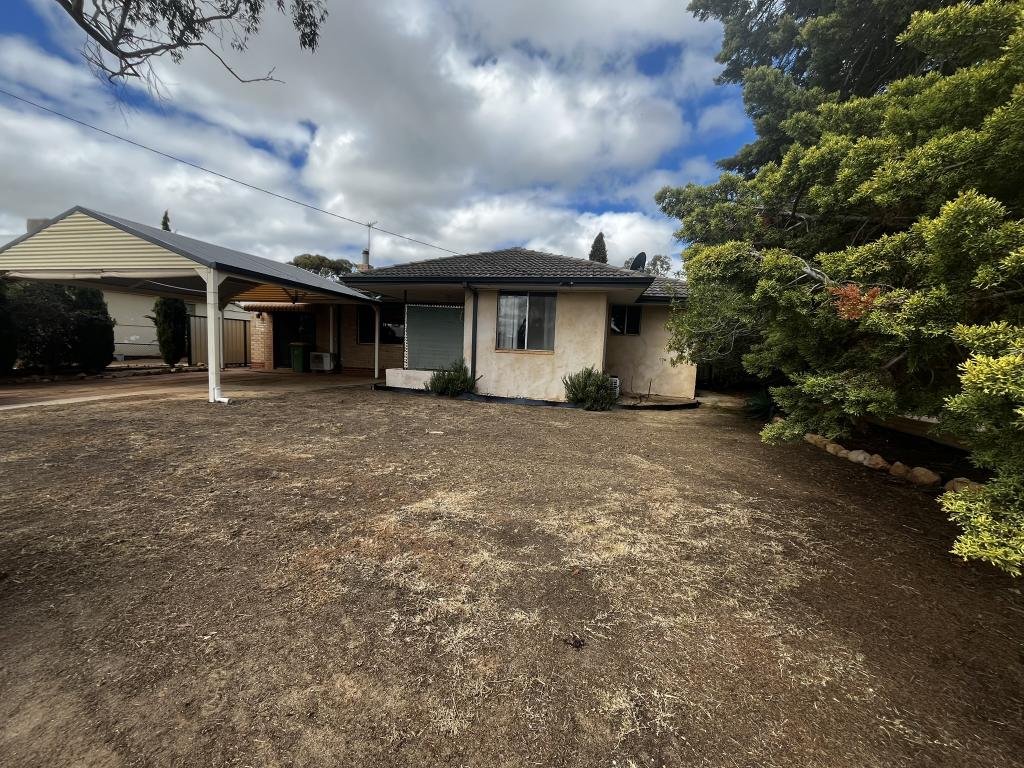 17 Greenham St, Koorda, WA 6475