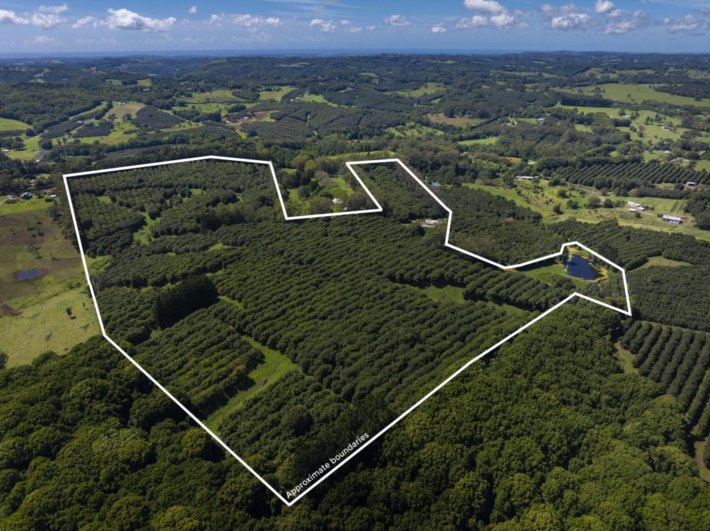 Contact Agent For Address, Mcleans Ridges, NSW 2480