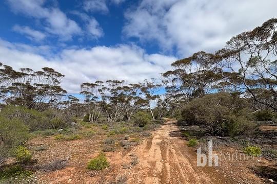 761 MALLEE ACRES RD, FISHER, SA 5354