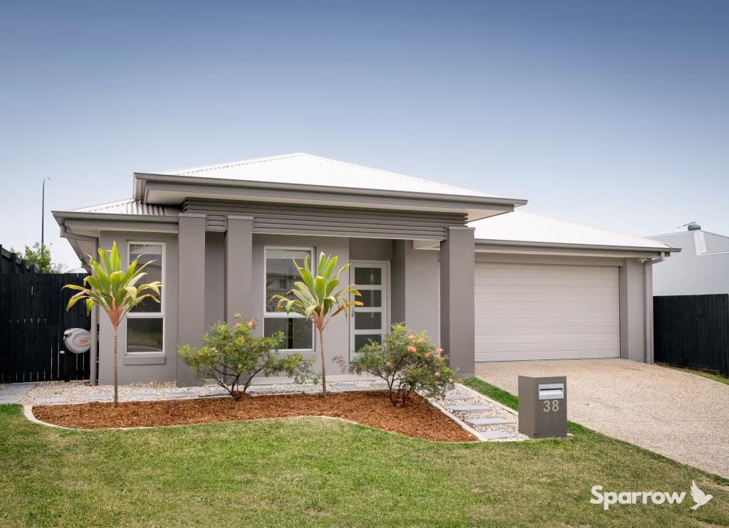 38 Brushtail Ct, Bahrs Scrub, QLD 4207