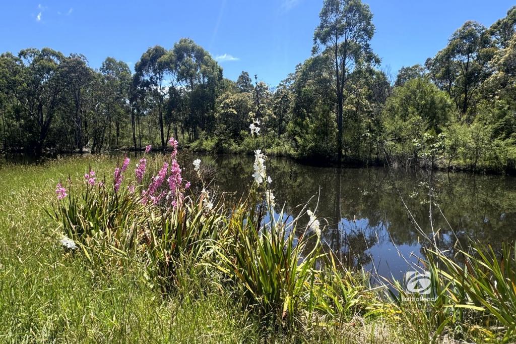 139 BUCHAN SOUTH RD, BUCHAN SOUTH, VIC 3885