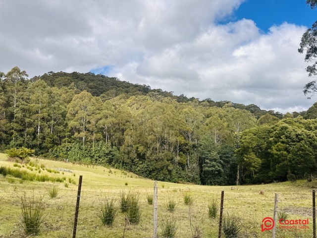 Harveys Rd, North Motton, TAS 7315