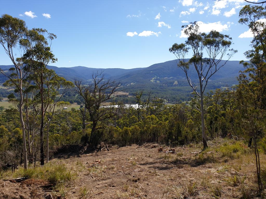 Lot 13 Bull Oak Way, Grove, TAS 7109