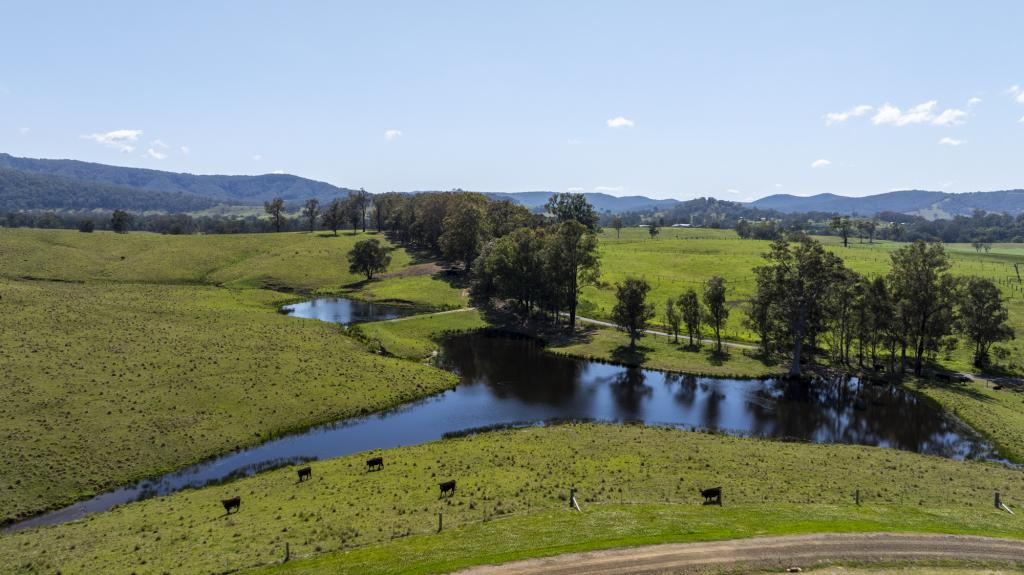 LOT 47 FOSTERTON RD, DUNGOG, NSW 2420