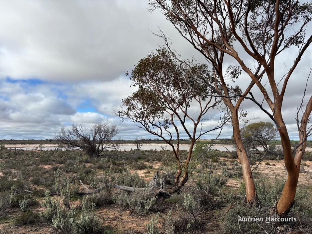 21 Goldfields Rd, Kellerberrin, WA 6410