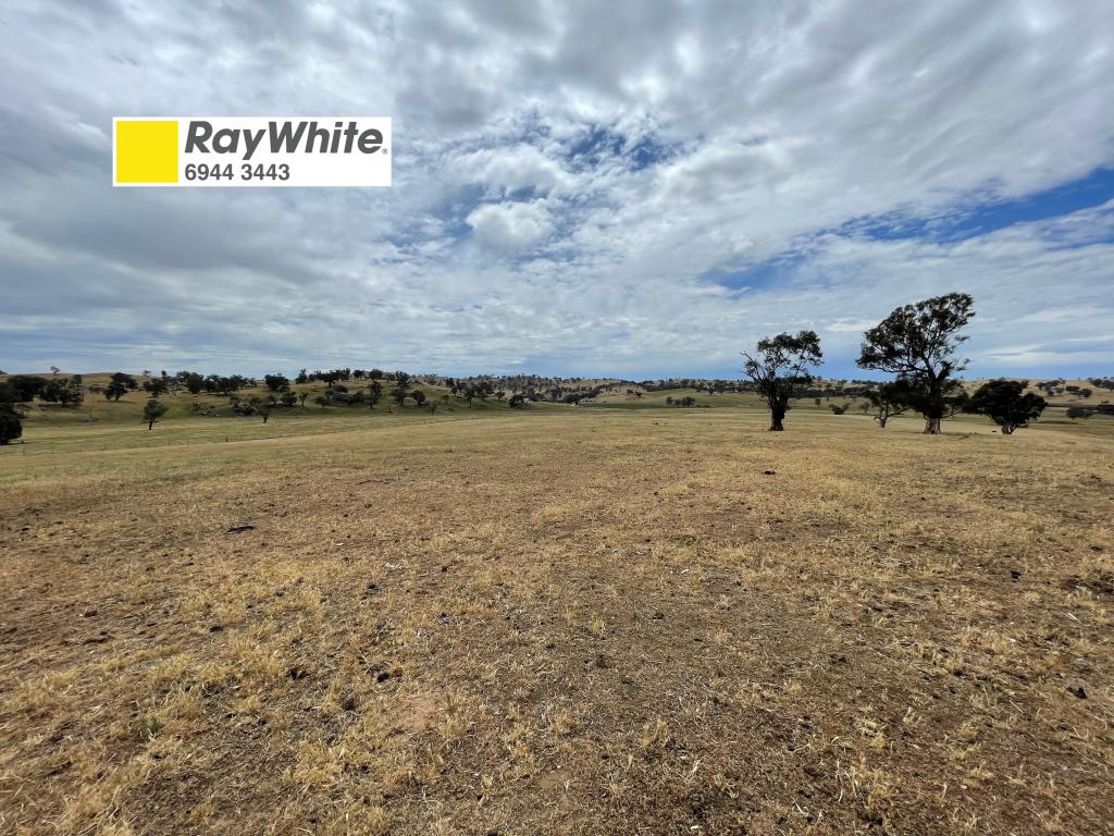 3 COONEY'S CREEK ROAD, JUGIONG, NSW 2726