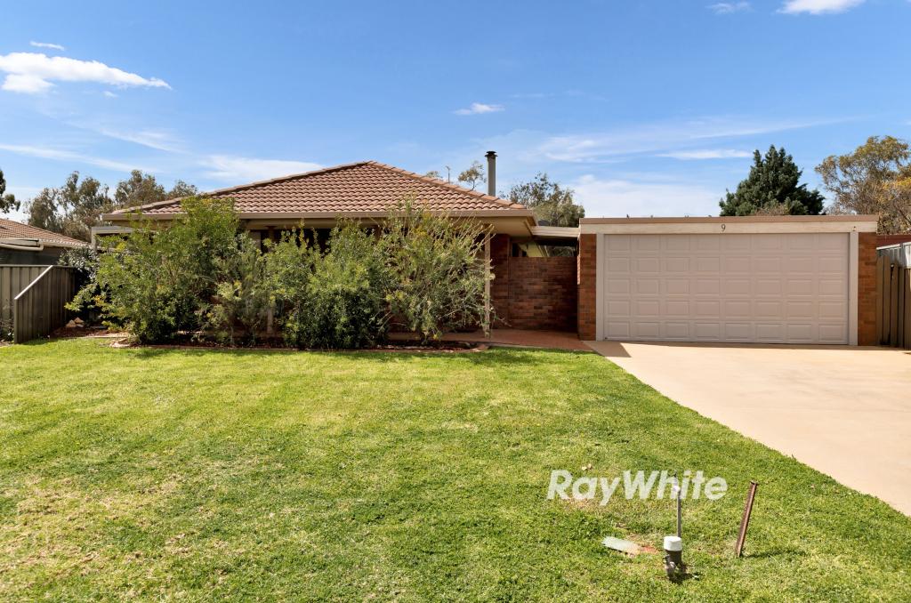 9 Wilkie Dr, Irymple, VIC 3498