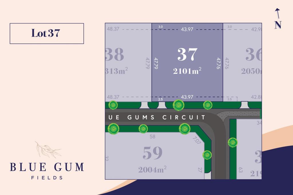 LOT 37 BLUE GUMS CCT, KYABRAM, VIC 3620