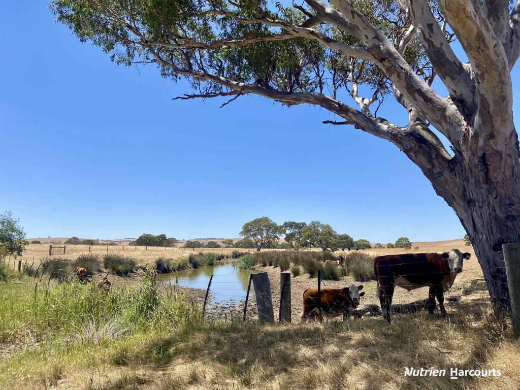 3857 GLENELG HWY, COLERAINE, VIC 3315