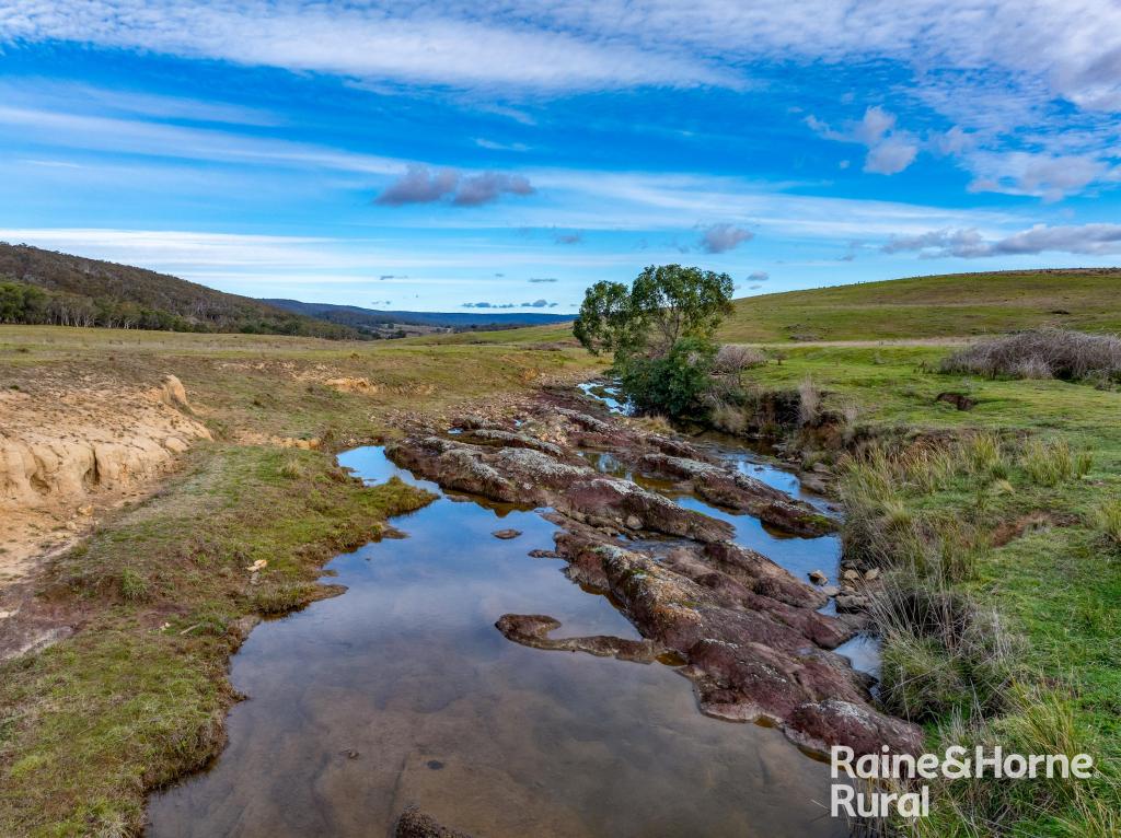318 HOLLOWAYS RD, TARLO, NSW 2580
