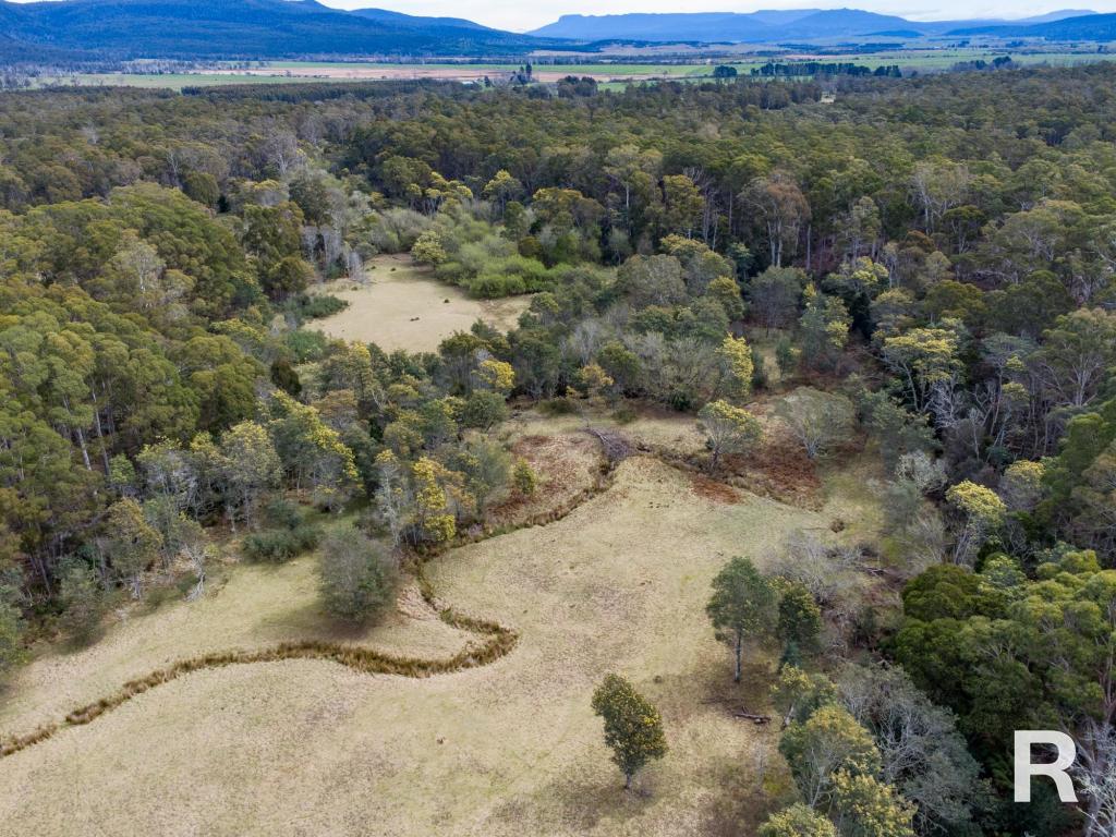 441 Elephant Pass Rd, Gray, TAS 7215