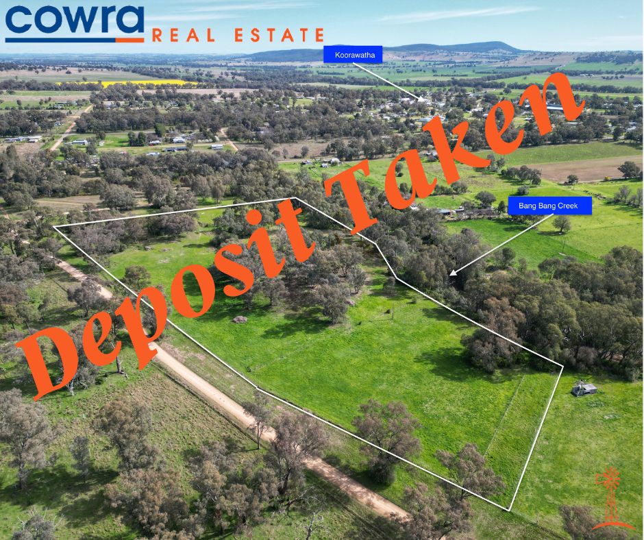 246 Bang Bang Rd, Koorawatha, NSW 2807