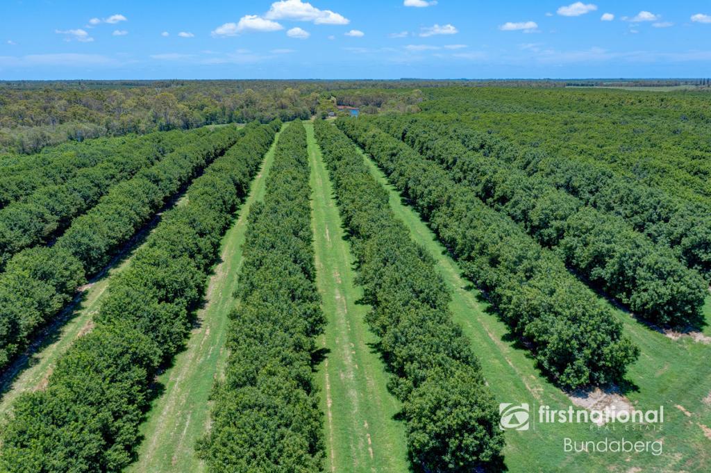 100 Raines Rd, Sharon, QLD 4670