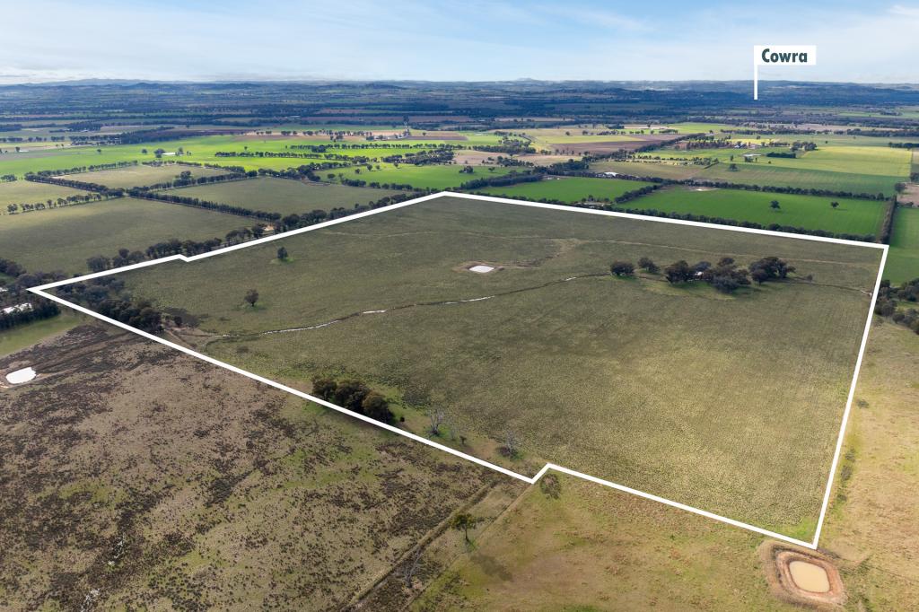 235 Barrs Rd, Cowra, NSW 2794
