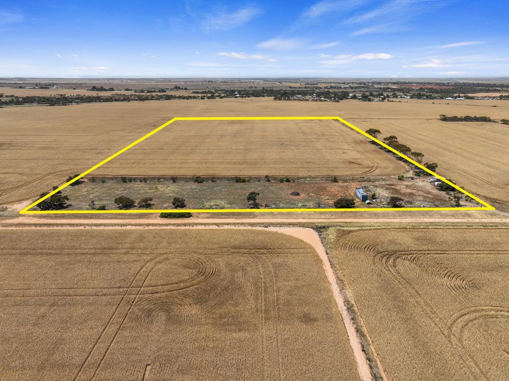 1244 Crutchett Rd, North Moonta, SA 5558