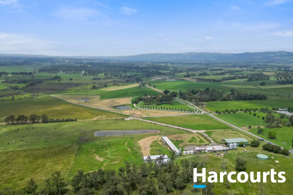 387 STUHRS RD, DARNUM, VIC 3822